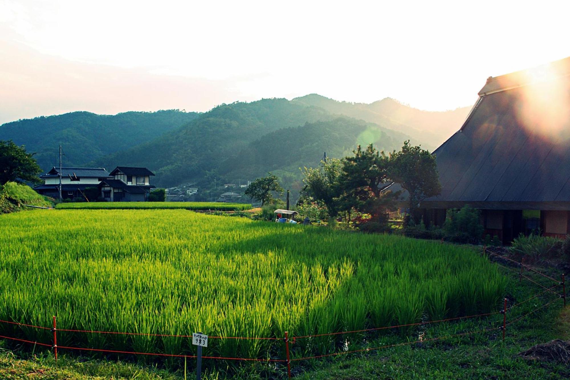 פוקוצ'יאמה 古民家の宿 ふるま家 Furumaya House Gastronomic Farmstay In Deep Kyoto מראה חיצוני תמונה
